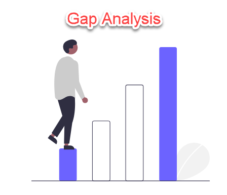 Gap Analysis Report: Identifying and Addressing Performance, Capability, and Resource: A Case Study