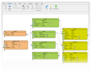 Different Kind of ERD Model