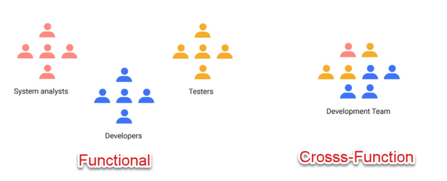 The Advantages of Cross-Functional Teams in Agile: Fostering Innovation, Coordination, and Rapid Results